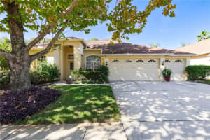 12808 Big Sur Dr, TAMPA