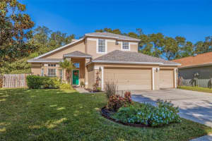 11107 Indian Oaks Dr, TAMPA 11107 Indian Oaks Dr, TAMPA