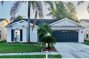 10119 Cedar Dune Dr, TAMPA