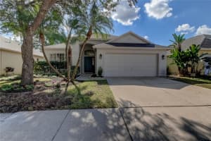 11836 Derbyshire Dr, TAMPA