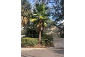 13729 Lazy Oak Dr #15, TAMPA 13729 Lazy Oak Dr #15, TAMPA