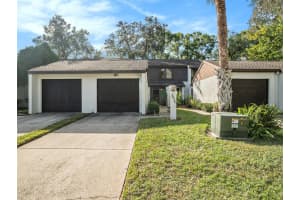 3436 Hunters Run Ln, TAMPA