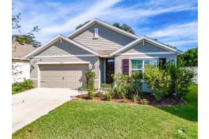 9256 Watolla Dr, THONOTOSASSA