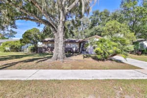 507 Robin Hill Cir, BRANDON