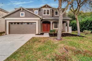 7508 Bulls Head Dr, WESLEY CHAPEL