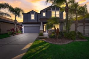 11308 Lazy Hickory Ln, TAMPA