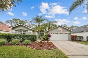 11727 Derbyshire Dr, TAMPA