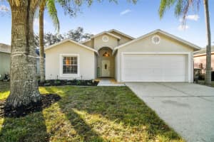 13525 Bellingham Dr, TAMPA 13525 Bellingham Dr, TAMPA