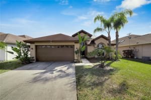 10217 Oasis Palm Dr, TAMPA
