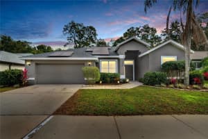 1144 Lumsden Trace Cir, VALRICO 1144 Lumsden Trace Cir, VALRICO
