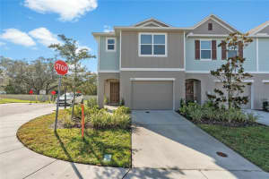 10911 Flying Squirrel Ave, TAMPA