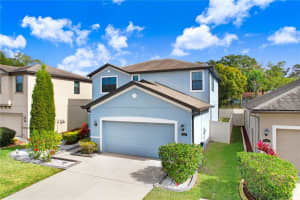 818 Vino Verde Cir, BRANDON