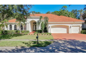 10718 Beagle Run Pl, TAMPA