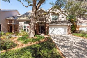 13111 Greengage Ln, TAMPA