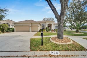 223 Bon Vie Pl, VALRICO