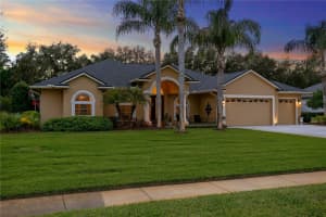 1306 Oxbridge Dr, LUTZ 1306 Oxbridge Dr, LUTZ