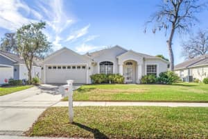 710 June Lake Ln, BRANDON