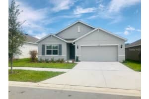 11519 Koti Creek Ln, THONOTOSASSA