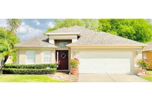 5522 Turtle Crossing Loop, TAMPA 5522 Turtle Crossing Loop, TAMPA