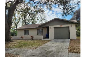 10820 Airview Dr, TAMPA 10820 Airview Dr, TAMPA