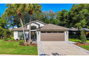 28251 Tanglewood Dr, WESLEY CHAPEL 28251 Tanglewood Dr, WESLEY CHAPEL