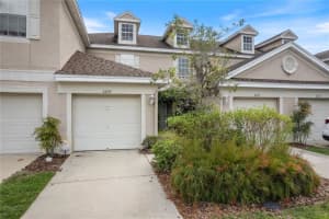 6229 Duck Key Ct, TAMPA