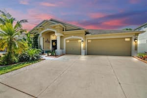3531 Fortingale Dr, WESLEY CHAPEL