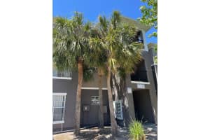 9324 Crescent Loop Cir #204, TAMPA