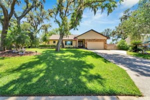 2757 Buckhorn Oaks Dr, VALRICO