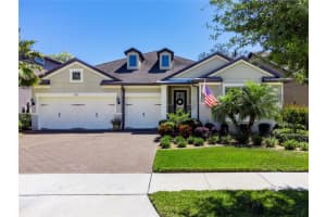 11111 Lark Landing Ct, RIVERVIEW