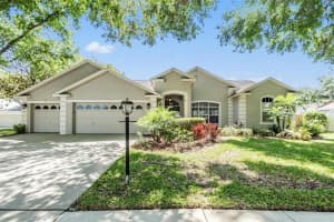 3907 Rolling Terrace Ln, VALRICO