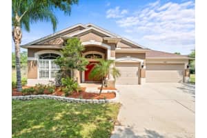 19102 Fern Meadow Loop, LUTZ