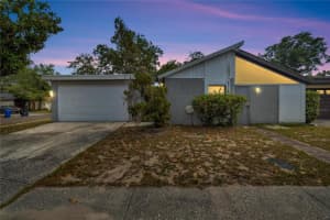 2014 Gregory Dr, TAMPA