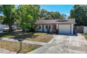 6626 Winding Oak Dr, TAMPA 6626 Winding Oak Dr, TAMPA