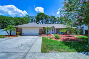 3319 Cheviot Dr, TAMPA 3319 Cheviot Dr, TAMPA