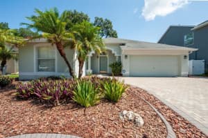 5805 Arbor Walk Ln, TAMPA 5805 Arbor Walk Ln, TAMPA
