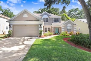 6011 Williamsburg Way, TAMPA