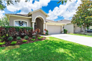 33810 Honeywood Ave, WESLEY CHAPEL