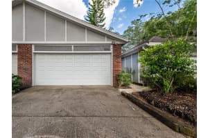 9819 Blue Sage Rd, TAMPA