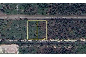 1022 Calliandra Dr, INDIAN LAKE ESTATES