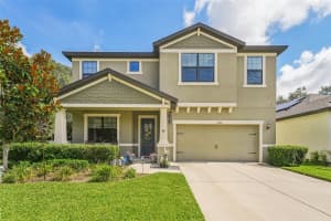 11206 Paddock Manor Ave, RIVERVIEW