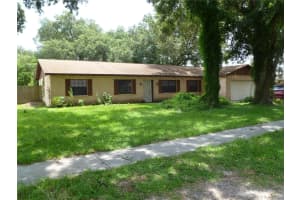 803 Bills Cir, BRANDON