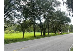 29956 New Dutch Ln, WESLEY CHAPEL