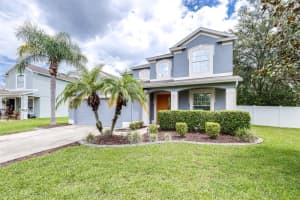 3514 Fortingale Dr, WESLEY CHAPEL 3514 Fortingale Dr, WESLEY CHAPEL