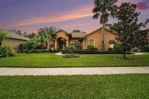 824 Citrus Wood Ln, VALRICO 824 Citrus Wood Ln, VALRICO