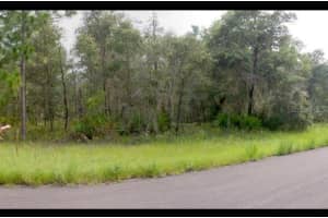 2156 W Deerfield Ln, DUNNELLON