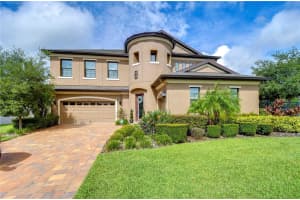 2924 Valencia Ridge St, VALRICO