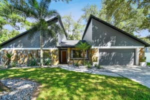 3202 Heatherbrook Way, TAMPA