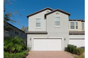 10038 Corso Milano Dr, TAMPA