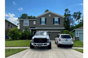 12217 Swaying Moss Cir, RIVERVIEW